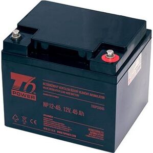 T6 Power NP12-45, 12 V, 45 Ah