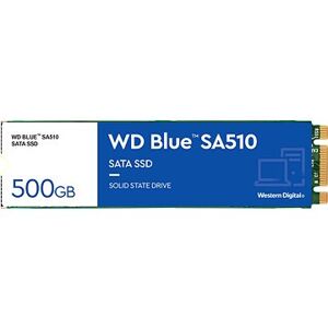 WD Blue SA510 SATA 500 GB M.2