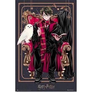Harry Potter – Harry – plagát