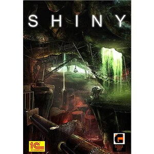 Shiny Artbook (PC) DIGITAL