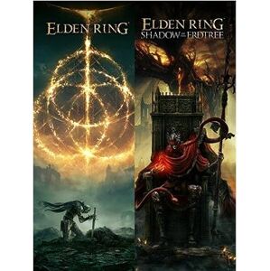 Elden Ring Shadow of the Erdtree Edition – PC DIGITAL